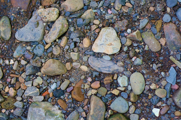Rock or Pebble Texture