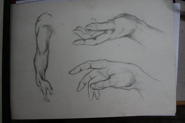 hands