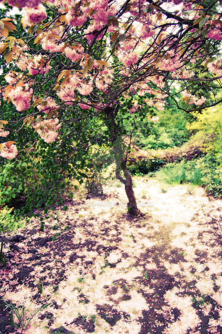 Spring is ending by amyrhian on DeviantArt