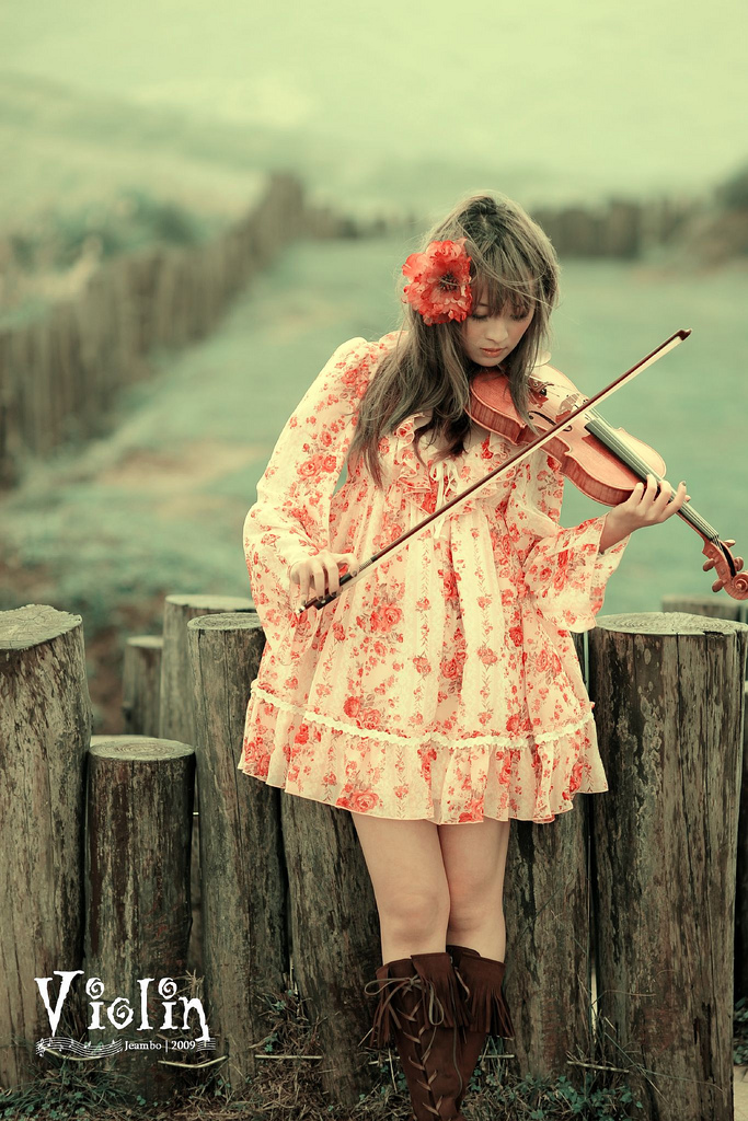 Violin - 2