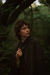 Frodo Baggins. Dark Forest 2 by BelkerCRFT