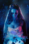 Tim Burton's Corpse Bride by BelkerCRFT