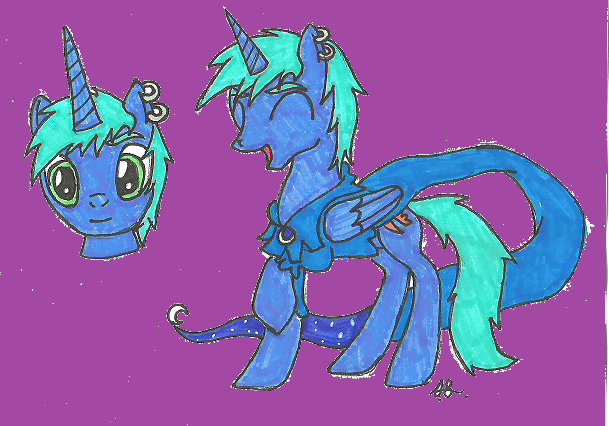 pony costom #4