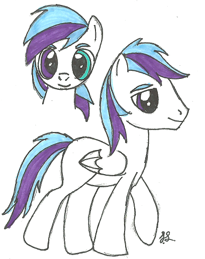 pony costom #9