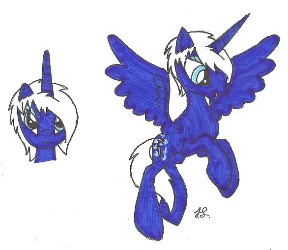 pony costom #12