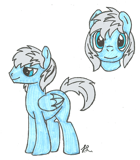 pony costom #22