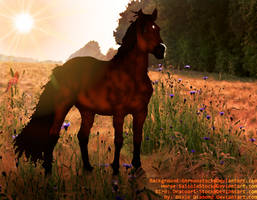 Herecomesthesun