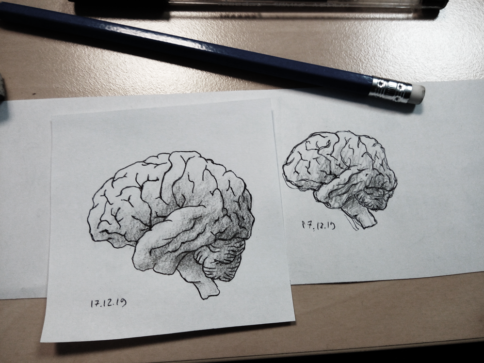 Brains by HappyGloom on DeviantArt