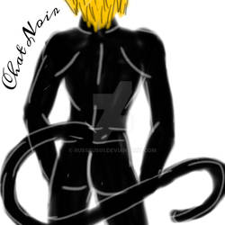 Chat Noir