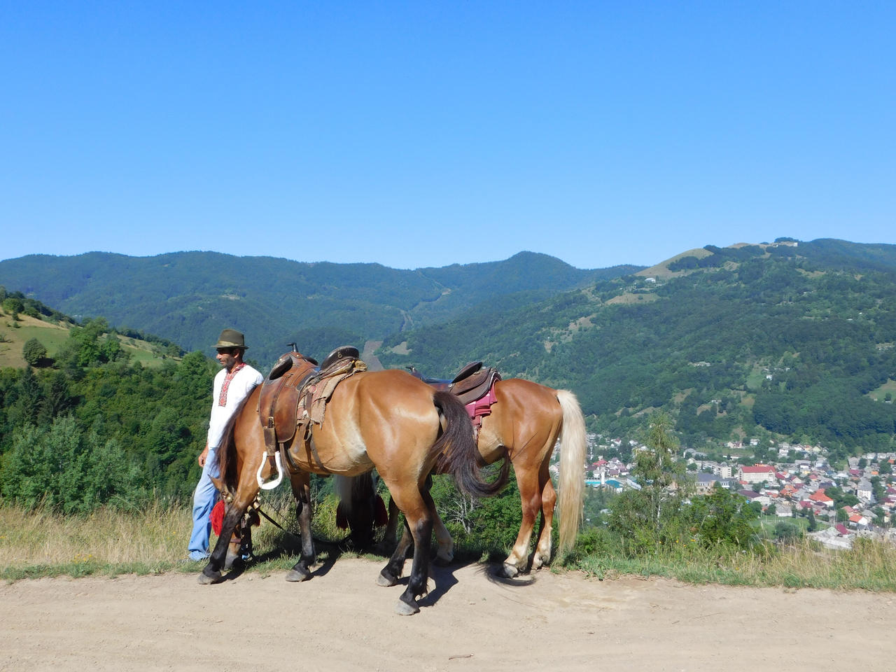Horse ride by Winfred-S-Photo on DeviantArt Best way to level ground for pool