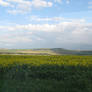 Caucasus