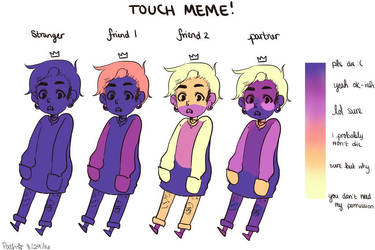 touch meme anew 