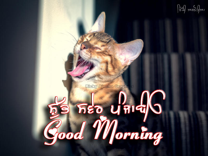 Good Morning Punjabi 17012015 By Ricky Ajnoha By Rick720 On Deviantart