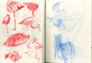 Marwell Zoo sketches: Zeebrahs and Flingmingos