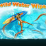 Wild Water Wipeout