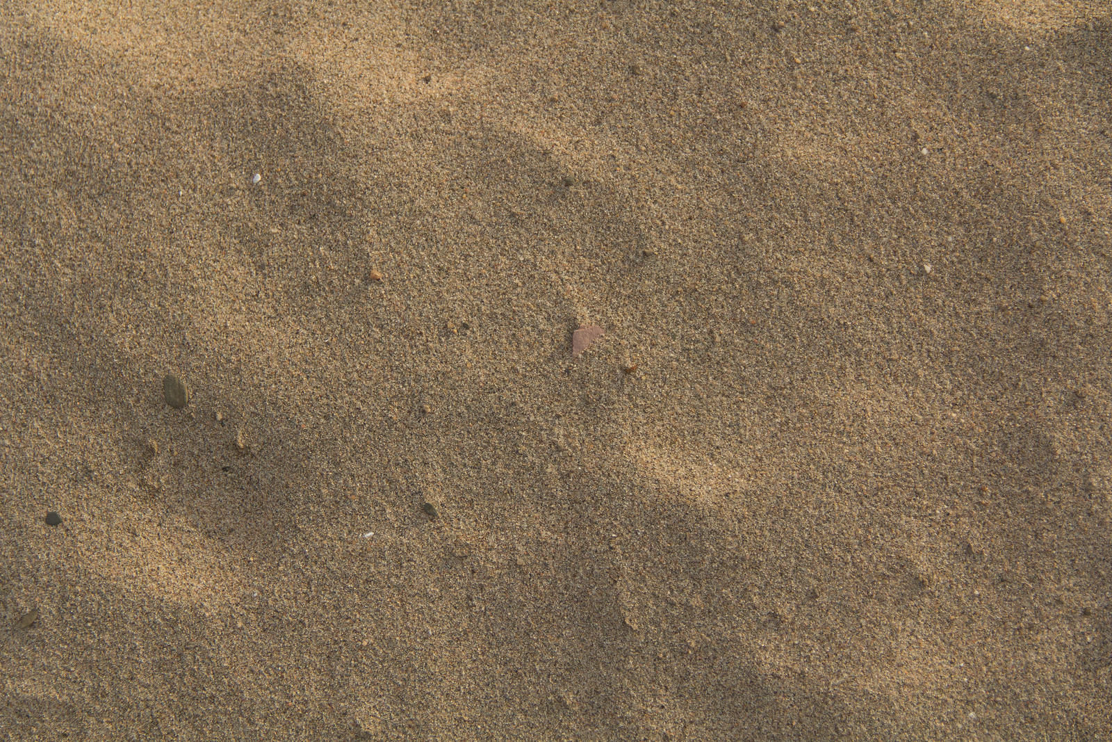 Free Texture #24: Shoreline Sand 03