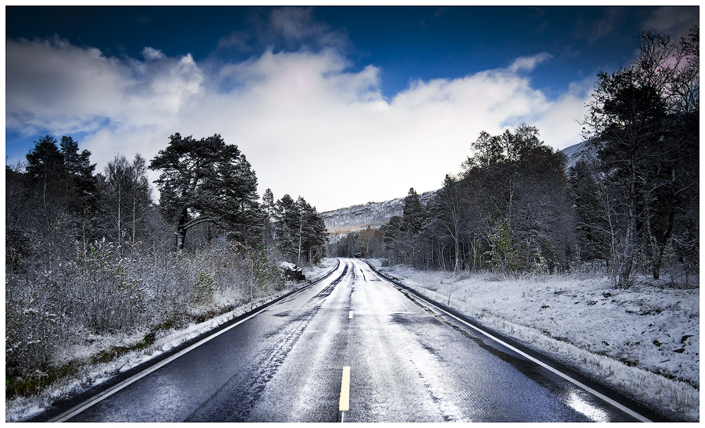 Into Saltfjellet