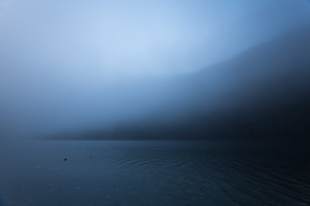 Milford Road Morning