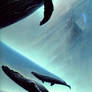 103-humpback-whales