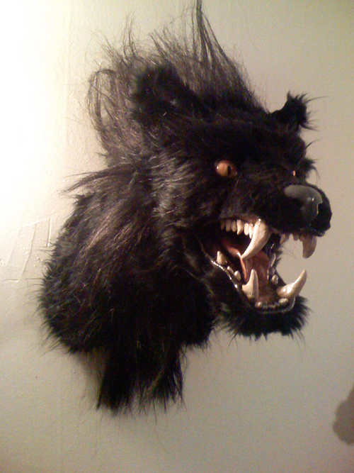 wolf head more hair