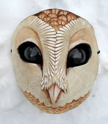 Owl mask complete