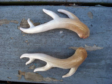 White Gold Antler Barrettes