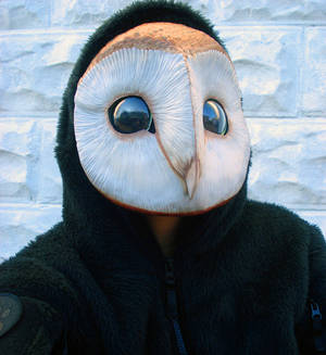 Owl mask version 2