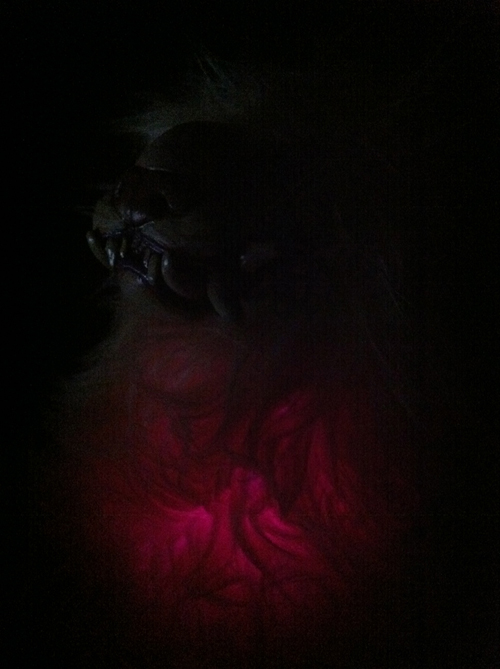 Luz the lion doll lit up