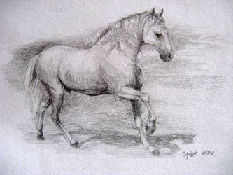 Horse 2