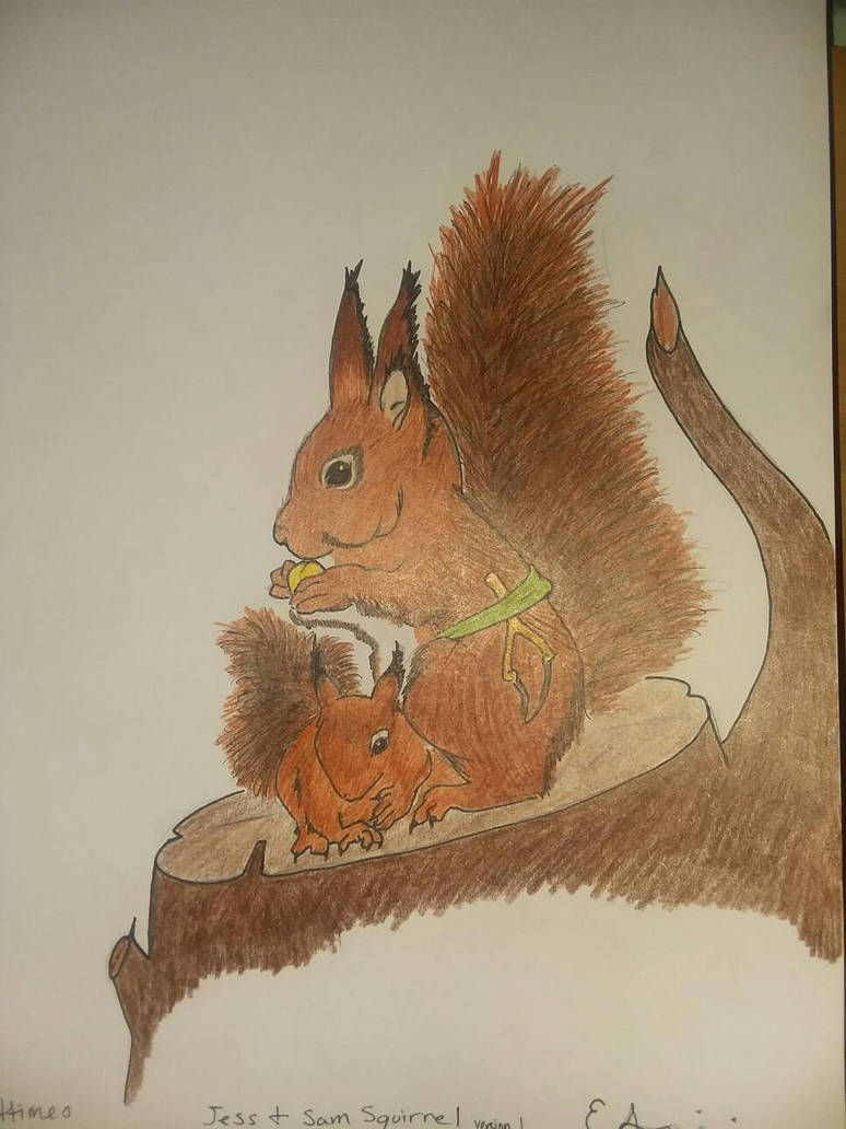 Sam Squirrel The Redwall Project: Jess and Sam Squirrel by ForswornSaiyan1988 on ...
