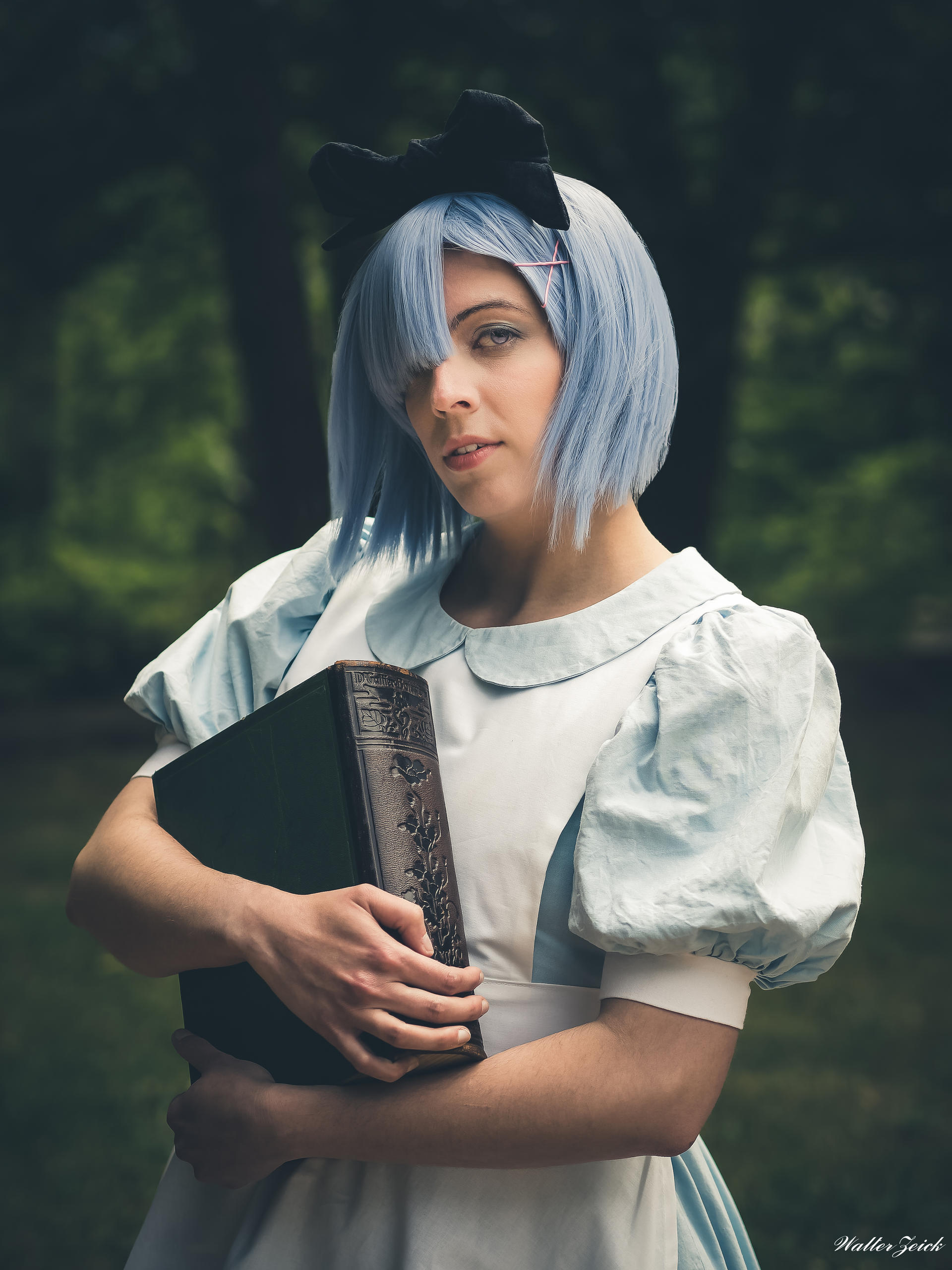 Rem Alice 5260128 by WalterZeick on DeviantArt