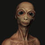 horny alien