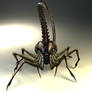 face hugger 2