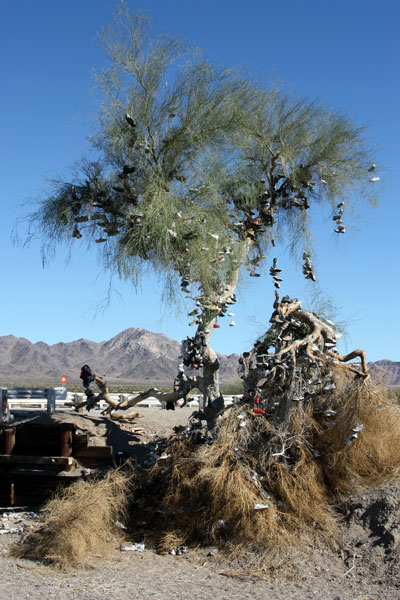 The Amboy Shoe Tree