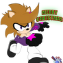 Secret Santa:The Speedy Hedgehog