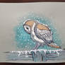 Sad Owl in the Snow