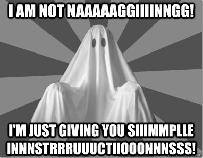 Nagging Roommate Ghost - Nagging