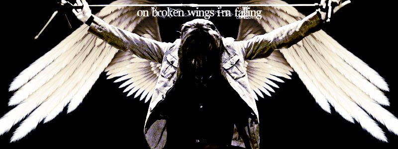 Broken Wings