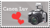 My Love by kitkyo