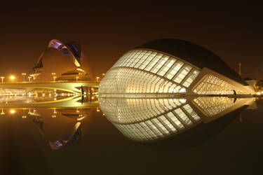 Ciudad de las artes y las ciencias - Reflection