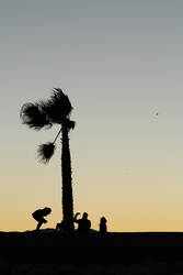 Silhouettes by the beach