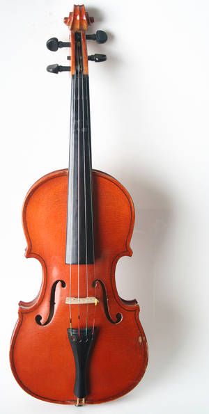 Violin