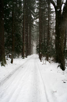 dans la neige 1