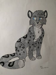 Snow Leopard sketch