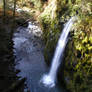 Stock~waterfall In Oregon