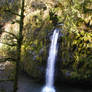 Stock~waterfall in Oregon 2