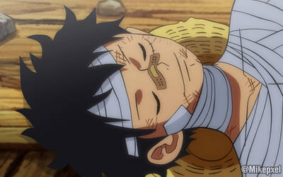 Luffy Durmiendo