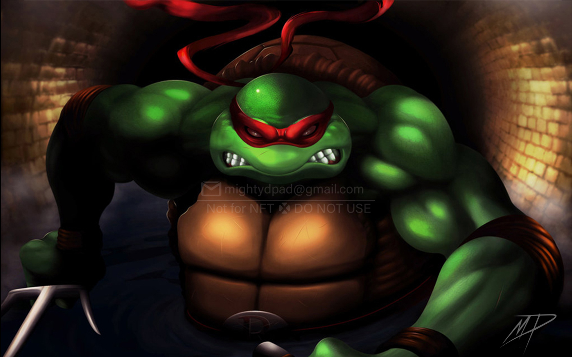 The Angry Turtle