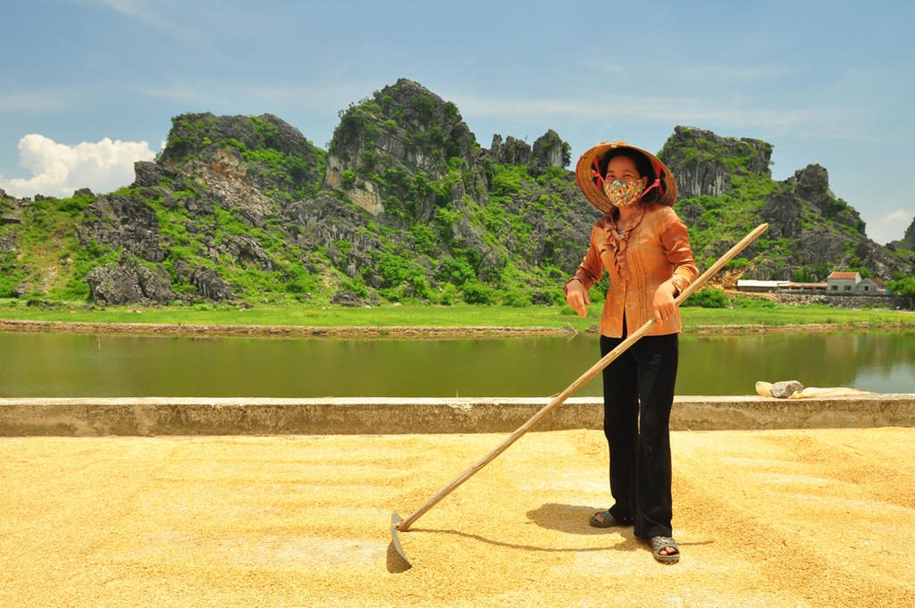 Drying Rice Drawing Drying rice by catalindragosh on DeviantArt