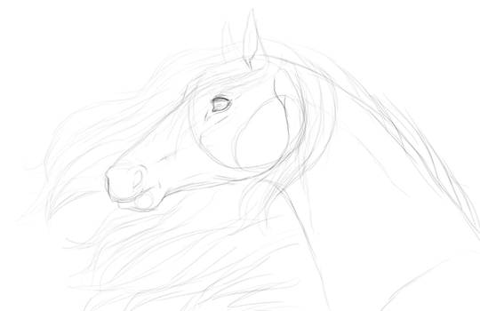 Horse WIP